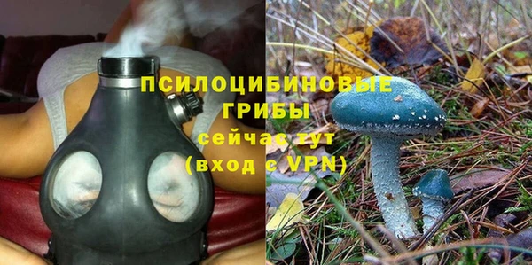 круглые Алексин
