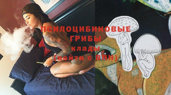 Альфа ПВП Алзамай