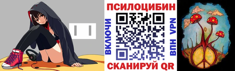 дарнет шоп  Енисейск  Галлюциногенные грибы Magic Shrooms 