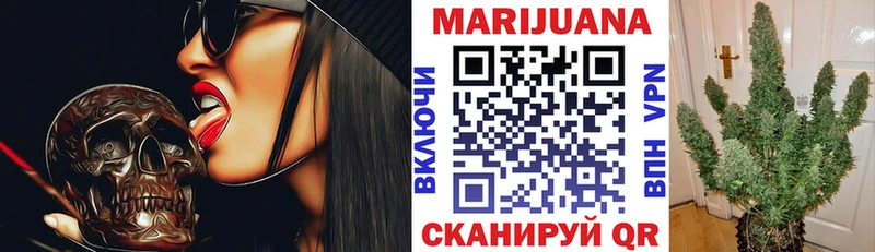Бошки марихуана конопля Енисейск